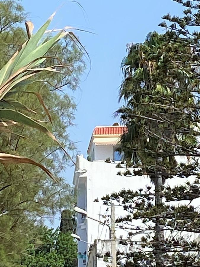 Apartment Roof Pied Dans L'eau Panoramic View, 80 Meters From Seaside